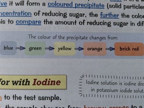 how are protein similar to starch quizlet
